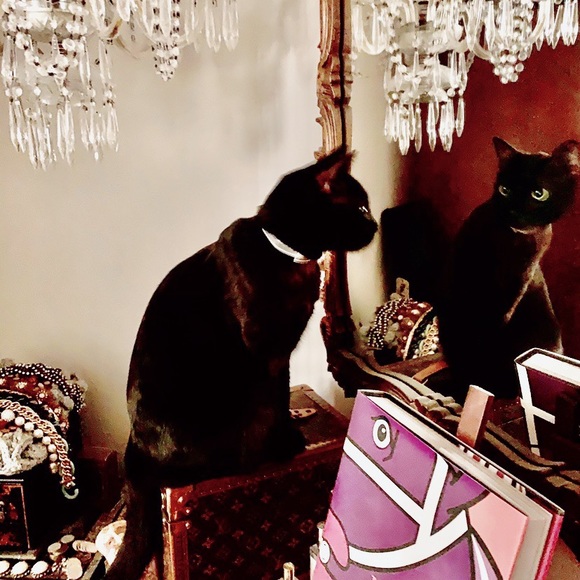 Haute. Chic. Or Comfy. - Picture 2 of 4